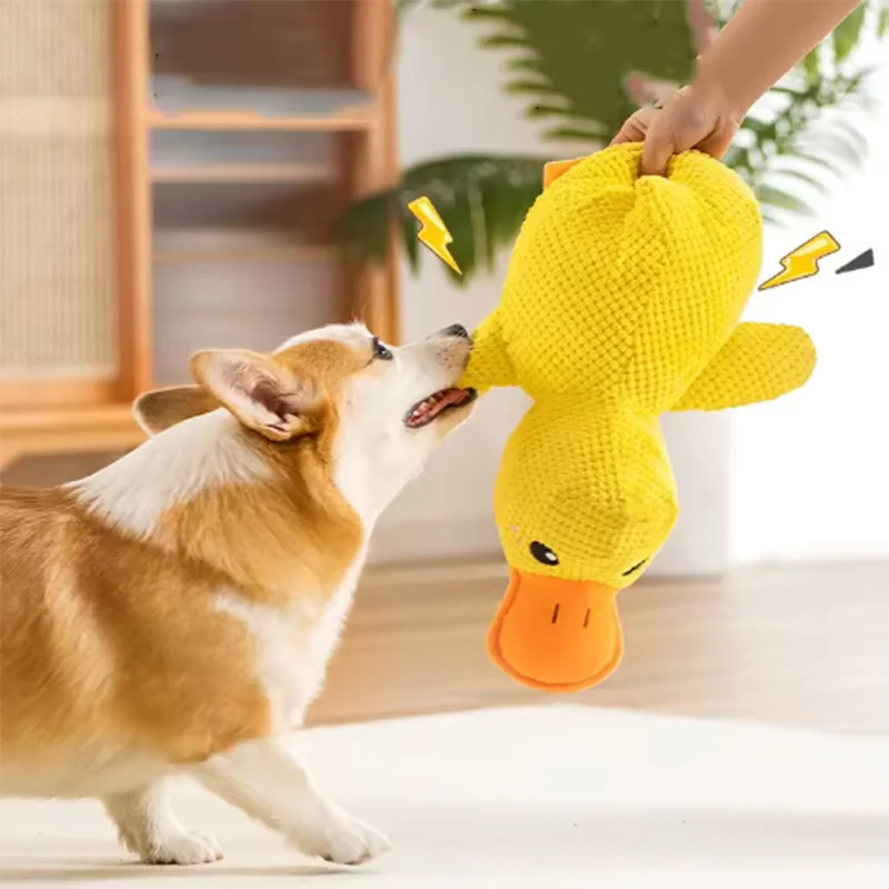 Squeaky Duck Dog Toy