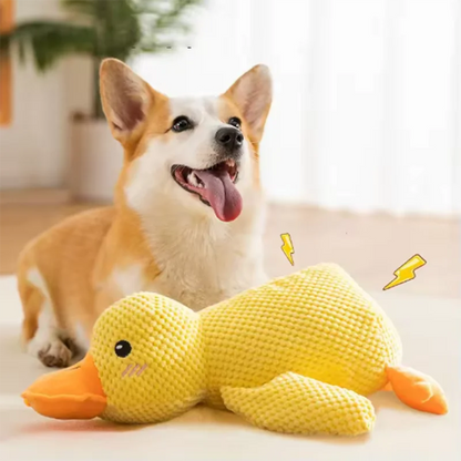 Squeaky Duck Dog Toy