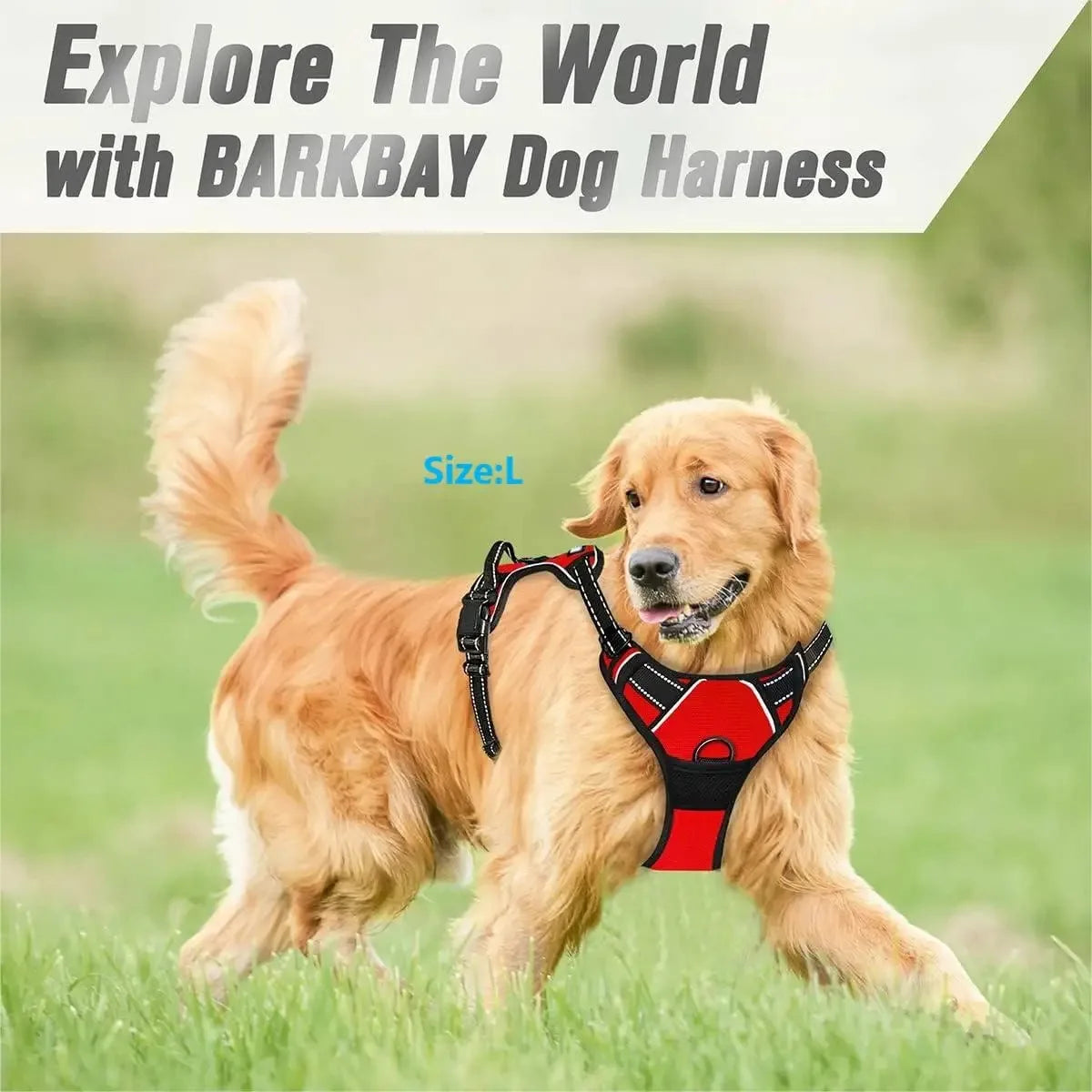 Dog Harness & Leash Set