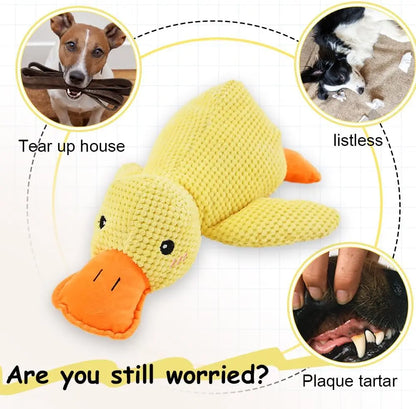 Squeaky Duck Dog Toy