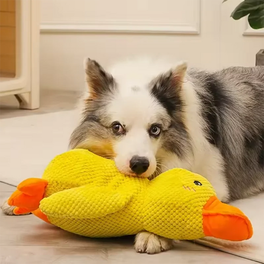 Squeaky Duck Dog Toy