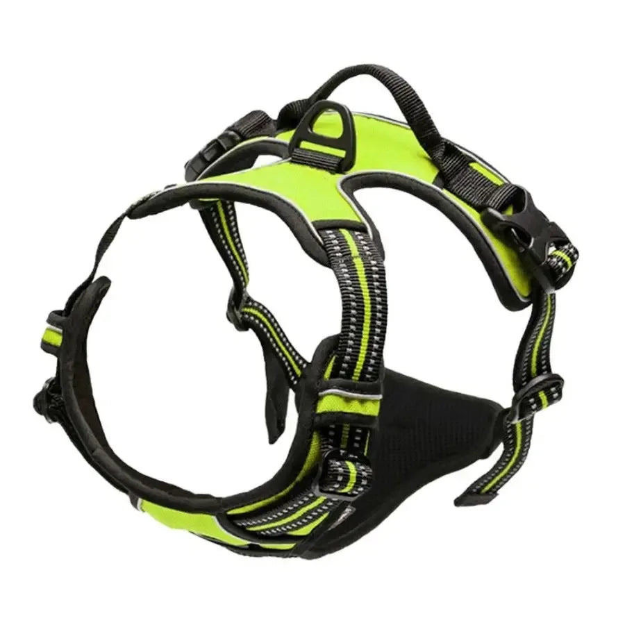 Dog Harness & Leash Set