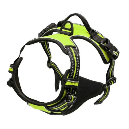 Dog Harness & Leash Set