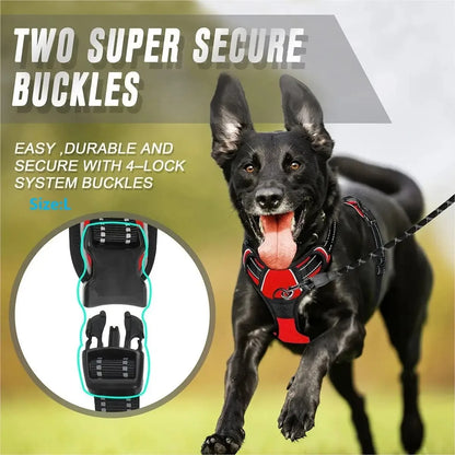 Dog Harness & Leash Set
