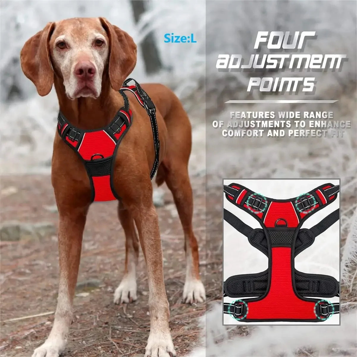 Dog Harness & Leash Set