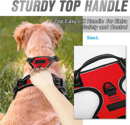 Dog Harness & Leash Set