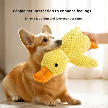 Squeaky Duck Dog Toy
