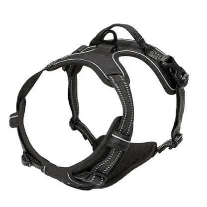 Dog Harness & Leash Set